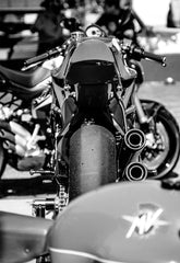 The Ago TT - Gallery 1